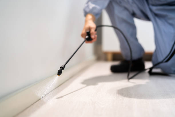 Licensed Termite Control service in Salmon, ID - Nex Pest Control
