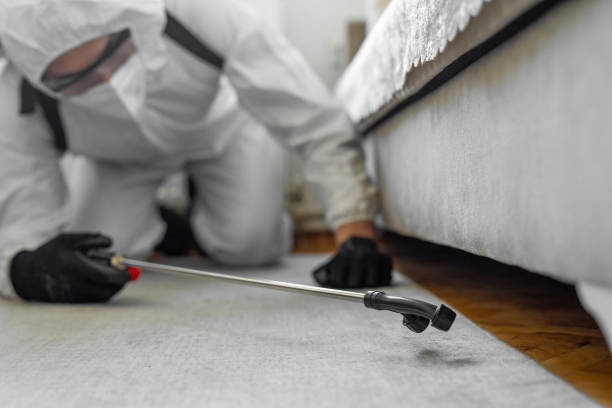 Professional Termite Control technician working in Salmon, ID