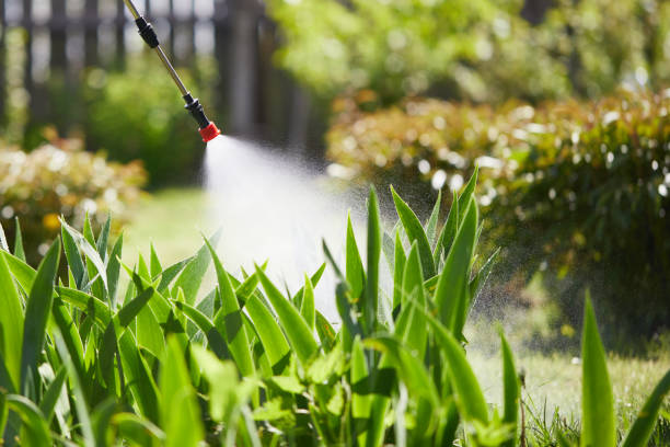 24/7 Emergency Termite Control experts in Salmon, ID