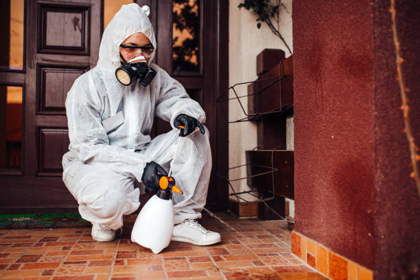 Reliable Termite Control contractor in Salmon, ID by Nex Pest Control